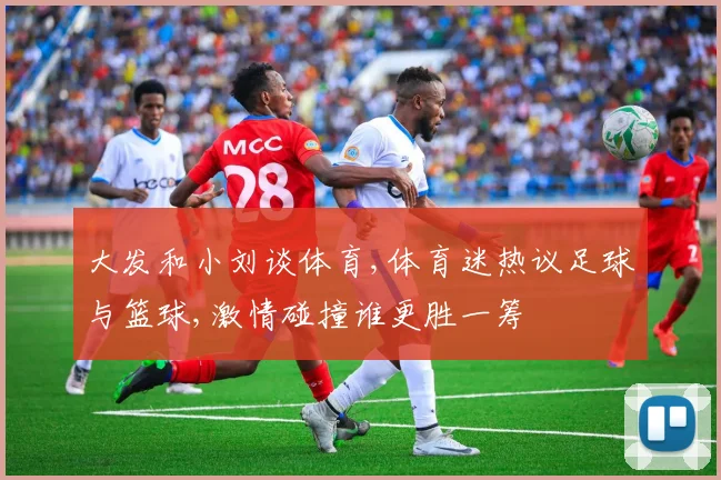 大发和小刘谈体育,体育迷热议足球与篮球,激情碰撞谁更胜一筹